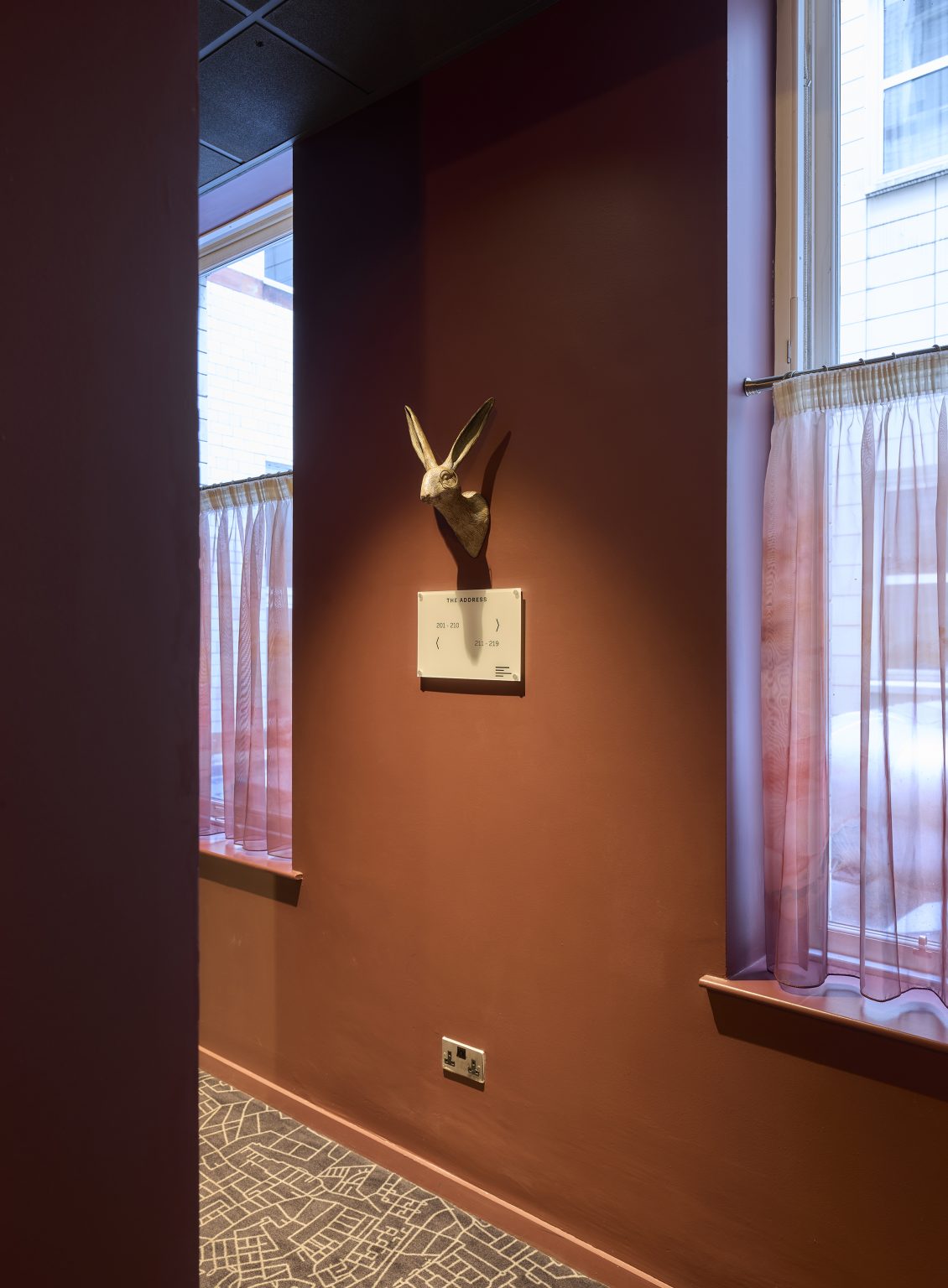 Quirky hallway decor in a hospitality fit-out featuring a rabbit head wall sculpture, rich wall colour, and soft natural lighting.